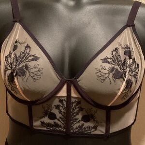 Thistle and Spire Black and Cream Embroidered Bra Set